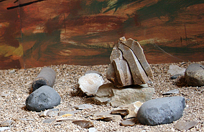 Coves de Serinyà